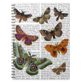 Carnet Plaque 3 (Devant)