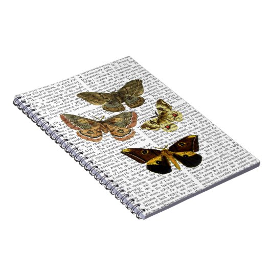 Carnet Plaque de papillon 4 (Côté Droit)