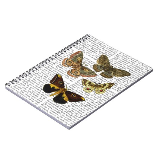 Carnet Plaque de papillon 4 (Côté gauche)