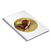 Carnet Platype (Côté Droit)
