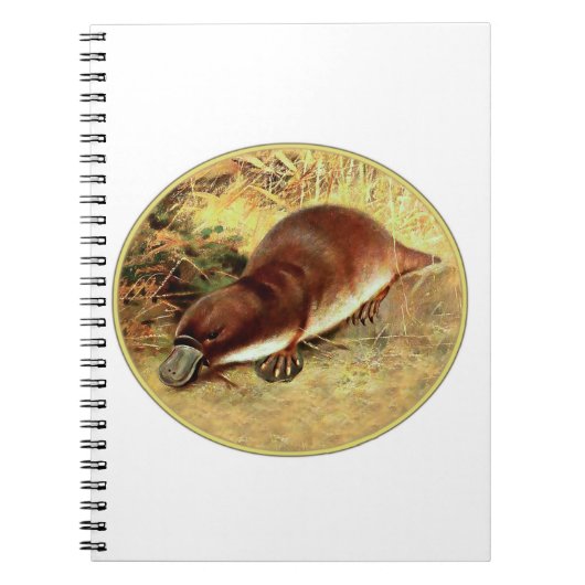 Carnet Platype (Devant)