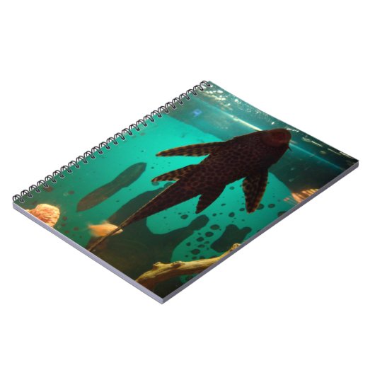 Carnet Pleco (Côté gauche)
