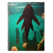 Carnet Pleco (Devant)