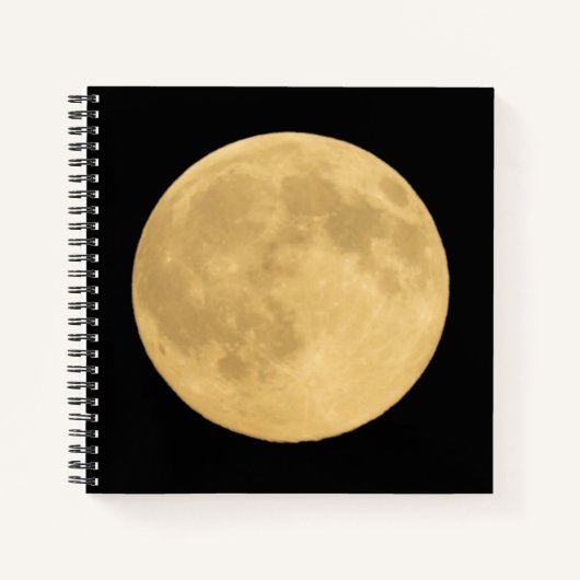 Carnet Pleine Lune | Seattle, Washington (Devant)
