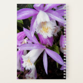 Carnet Pleione Windowsill Orchidées Floral (Verso)