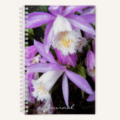 Carnet Pleione Windowsill Orchidées Floral (Recto)
