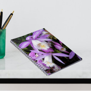 Carnet Pleione Windowsill Orchidées Floral