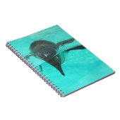 Carnet Plongée sous-marine (Côté Droit)