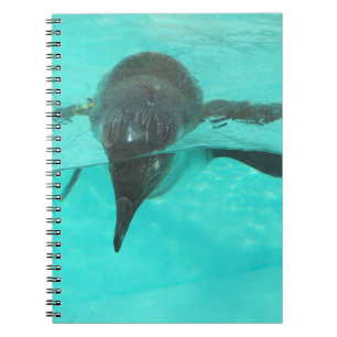 Carnet Plongée sous-marine