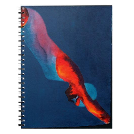 Carnet Plongeur 2011 (Devant)