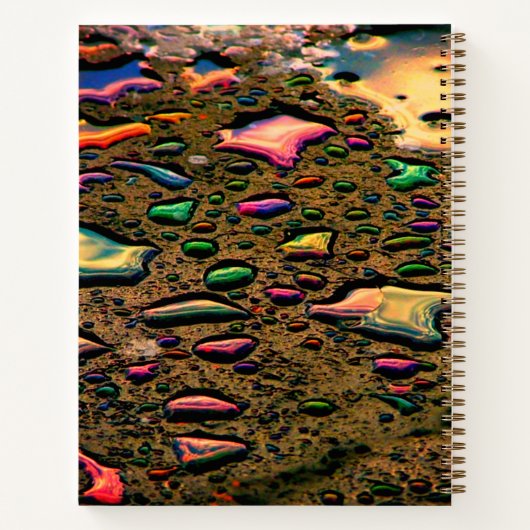 Carnet Pludrops (Dos)