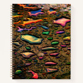 Carnet Pludrops (Devant)