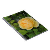 Carnet Pluies sur Rose jaune (Côté Droit)