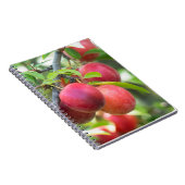 Carnet Plum cerise sur branche (Côté Droit)