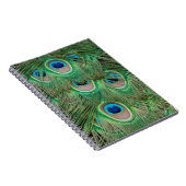 Carnet Plumage de paon (Côté Droit)