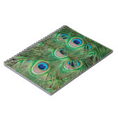 Carnet Plumage de paon (Côté gauche)