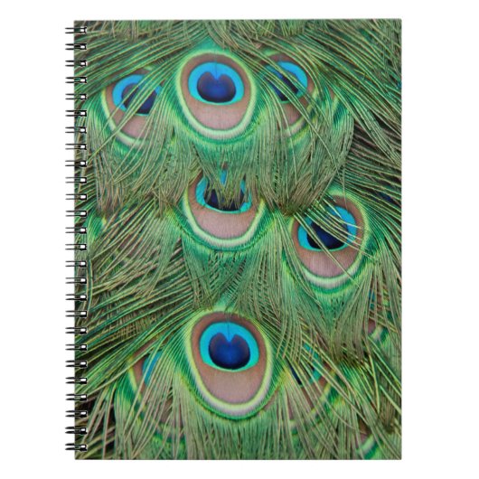 Carnet Plumage de paon (Devant)