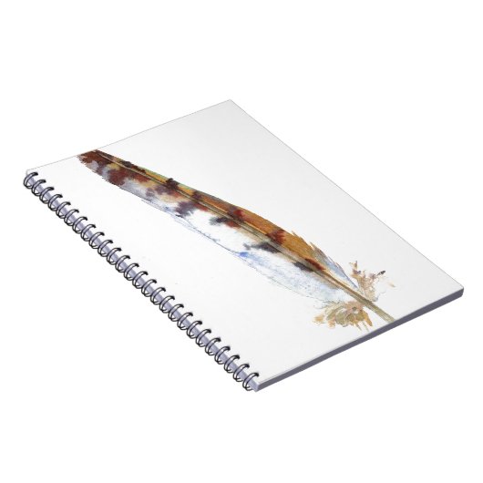 Carnet Plume de HIBOU (Côté Droit)