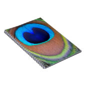 Carnet Plume de paon coloré Eyespot (Côté Droit)