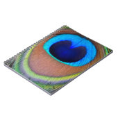 Carnet Plume de paon coloré Eyespot (Côté gauche)