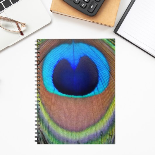 Carnet Plume de paon coloré Eyespot