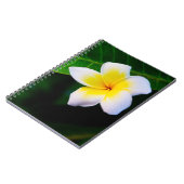 Carnet plumérie (Côté gauche)