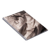 Carnet Plumes (Côté Droit)