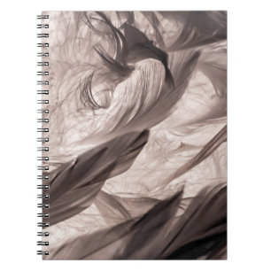 Carnet Plumes