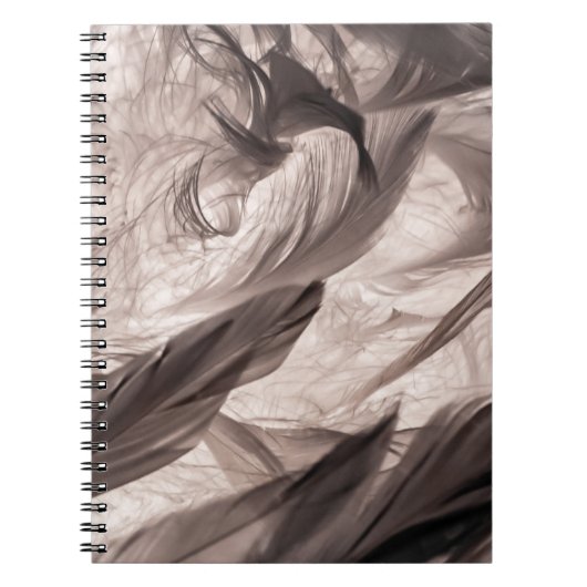 Carnet Plumes (Devant)