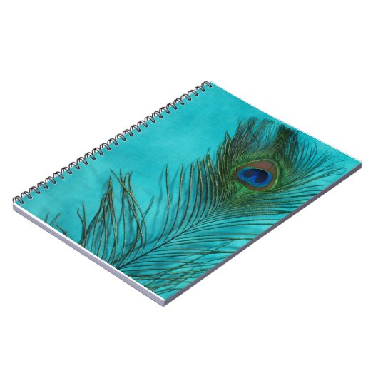 Carnet Plumes Aqua Peacock (Côté gauche)