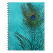 Carnet Plumes Aqua Peacock (Devant)