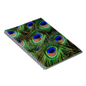 Carnet Plumes de paon (Côté Droit)