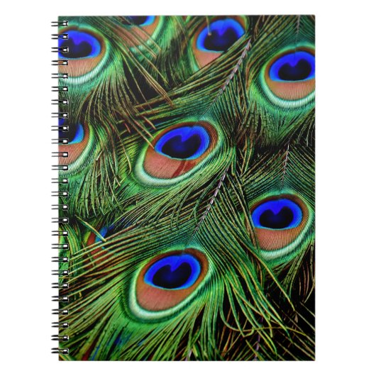 Carnet Plumes de paon (Devant)