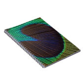 Carnet Plumes de paon (Côté Droit)