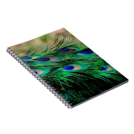 Carnet Plumes de paon (Côté Droit)