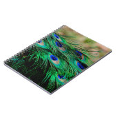 Carnet Plumes de paon (Côté gauche)