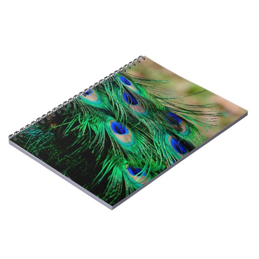 Carnet Plumes de paon (Côté gauche)