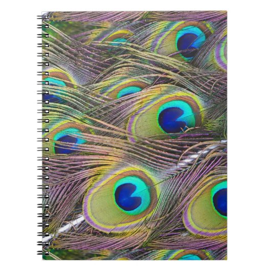 Carnet Plumes de paon (Devant)