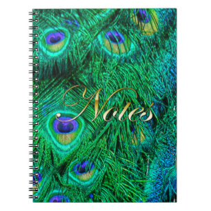 Carnet Plumes de paon rayonnantes Conception photo