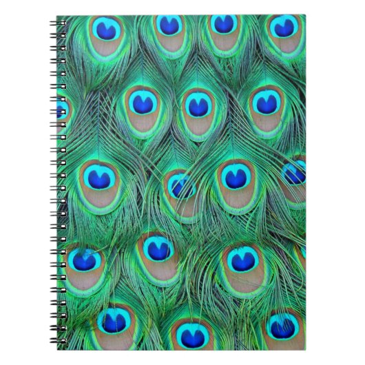 Carnet Plumes de paon vibrantes (Devant)