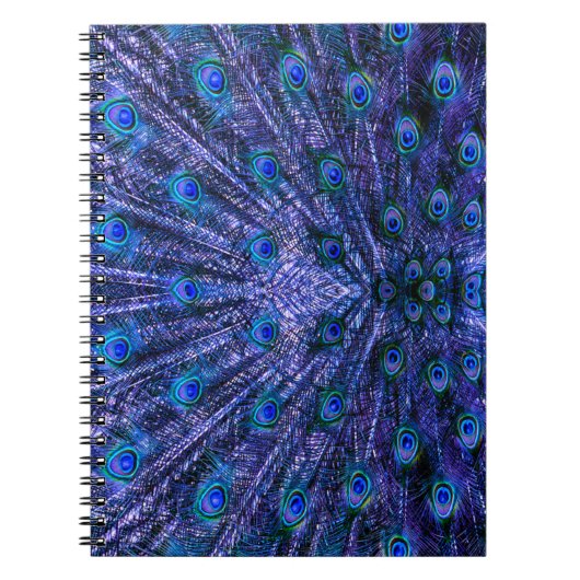 Carnet Plumes de paon violet (Devant)