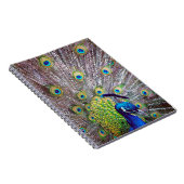 Carnet Plumes d'oiseau de paon (Côté Droit)