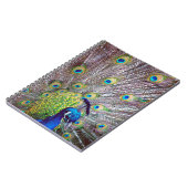 Carnet Plumes d'oiseau de paon (Côté gauche)