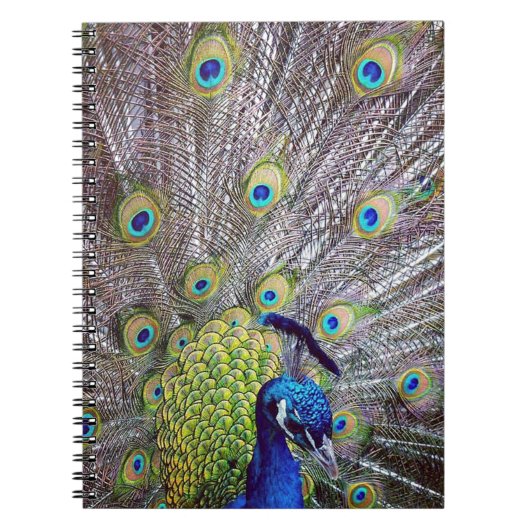 Carnet Plumes d'oiseau de paon (Devant)