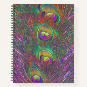 Carnet Plumes Peacock Tinsel de Noël