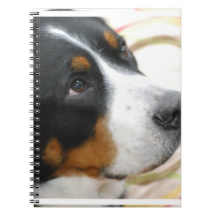 Carnet Plus grand chien suisse doux de montagne