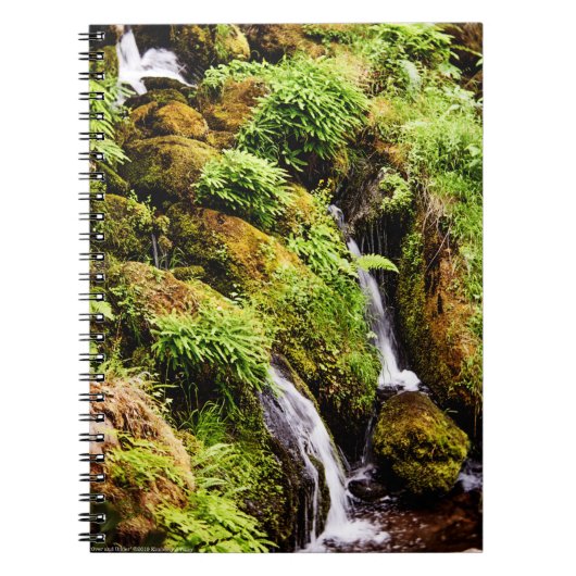 Carnet Plus ou moins (Devant)