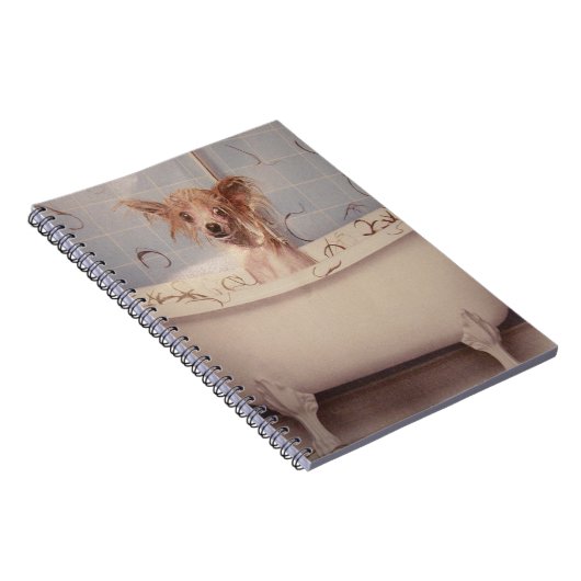 CARNET POIGNÉE DE BAIGNOIRE (Côté Droit)