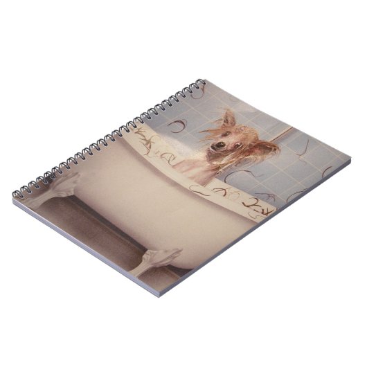 CARNET POIGNÉE DE BAIGNOIRE (Côté gauche)