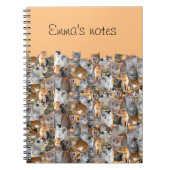 Carnet Point de rencontre des chats - mignon (Devant)